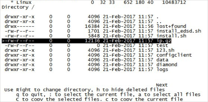 阿里云国际版云服务器Linux系统数据恢复操作步骤(图10)