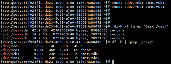 Linux云服务器变更规格后磁盘脱机怎么办？(图4)