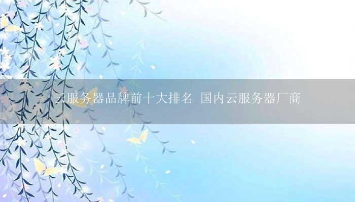 云服务器品牌前十大排名 国内云服务器厂商?(图1) 云服务器品牌前十大排名 国内云服务器厂商?(图1)