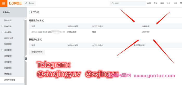鲸鱼云：阿里云国际版账号充值教程，无PayPal信用卡也可充值购买服务器等产品(图6)