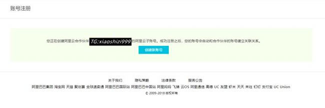 狮子云：阿里云国际版账号注册充值教程，无需paypal信用卡即可充值购买服务器等产品(图3)