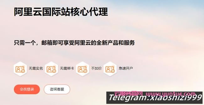 狮子云：阿里云国际版账号注册充值教程，无需paypal信用卡即可充值购买服务器等产品(图2)