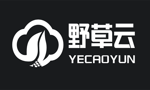 野草云：香港主机，CN2+BGP线路，低至138元一年！