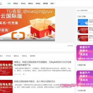 鲸鱼云：阿里云国际版账号充值教程，无PayPal信用卡也可充值购买服务器等产品