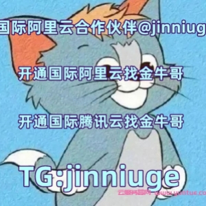 阿里云国际版购买云服务器：国际阿里云分销商，注册充值教程