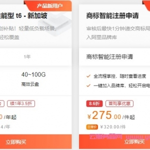 阿里云新加坡vps：云服务器ecs突发性能型t6 2核2G仅105.4元/年