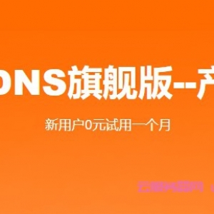阿里云解析DNS旗舰版免费试用,阿里云解析DNS个人版和免费版区别