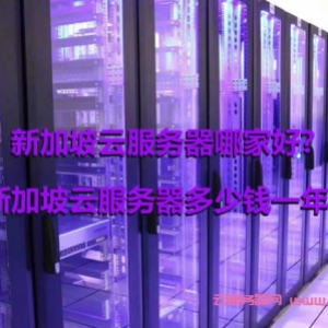 新加坡云服务器哪家好?新加坡云服务器多少钱一年?