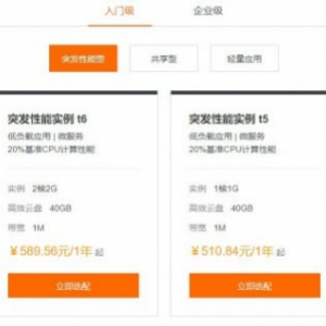 阿里云ecs突发性能型t6云服务器适合外贸企业网站吗?