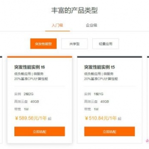 阿里云入门级服务器和企业级云服务器有什么区别?