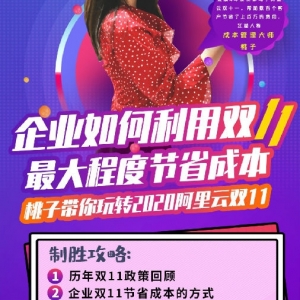 【2020阿里云双11】如何利用阿里云双11最大程度节省云上成本?