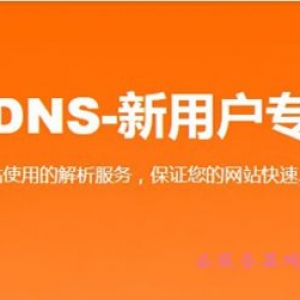 阿里云·云解析DNS免费版个人版企业版区别及选择