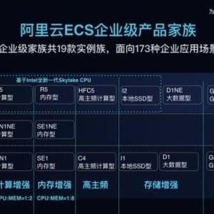 阿里云服务器ecs企业级和入门级性能如何选择?