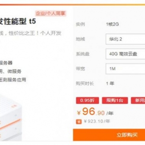 阿里云ecs突发性能实例t5购买参考和使用建议