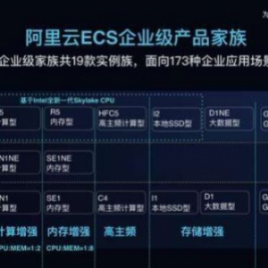 阿里云ECS云服务器入门级和企业级的区别?性能差别对比