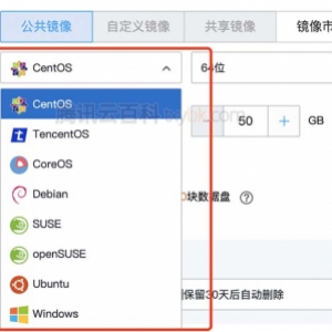 腾讯云服务器选哪个系统？Windows和Linux选择攻略
