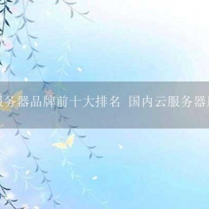 云服务器品牌前十大排名 国内云服务器厂商?