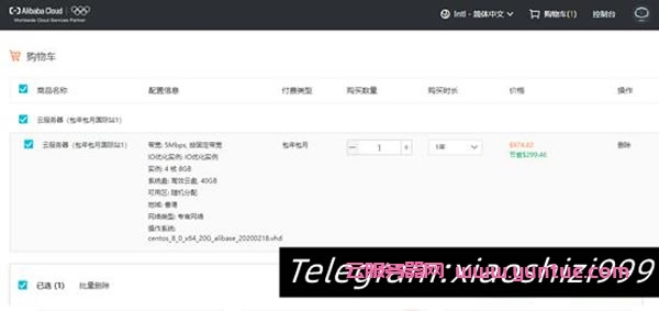 狮子云：阿里云国际版账号注册充值教程，无需paypal信用卡即可充值购买服务器等产品(图8)